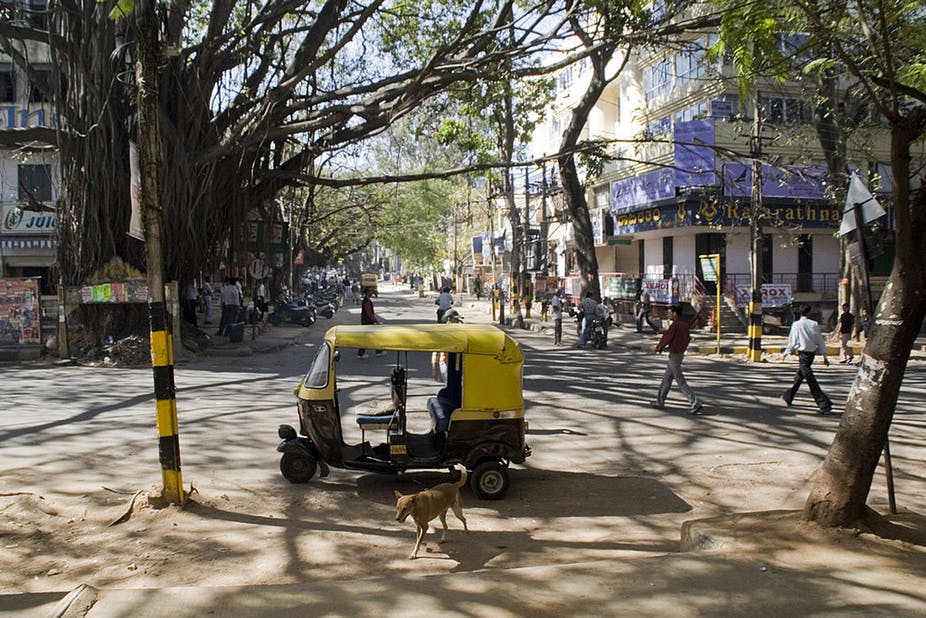 Bangalore has a long lasting love history with nature.